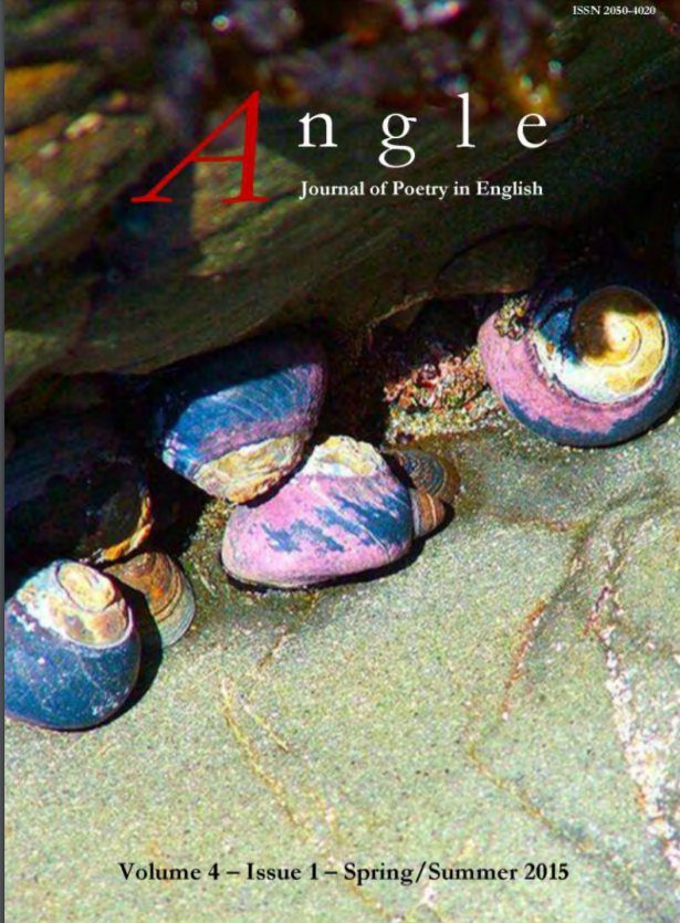 Cover of Angle, Spring/Summer 2015: snail shells sheltering beneath a rock