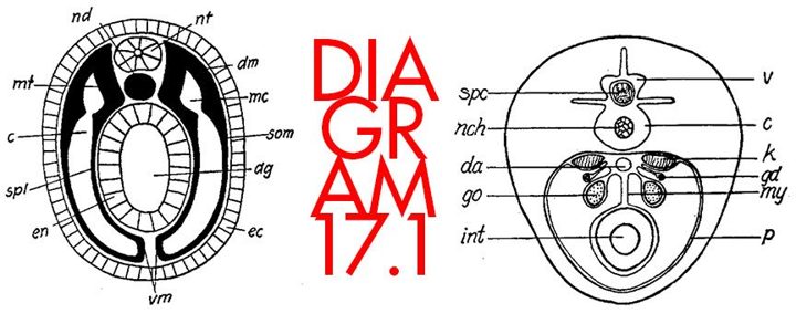 DIAGRAM 17.1: red lettering between two antique labeled anatomical diagrams