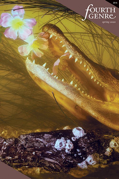 Cover of Fourth Genre, spring 2020: an alligator’s open jaws among pink flowers in golden water