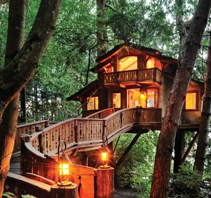A treehouse lit by lanterns among tall evergreens